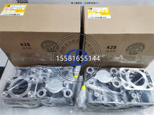 卡特彼勒挖掘機(jī)核心部件：490-3958單向閥總成